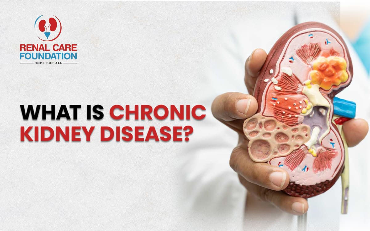 Chronic Kidney Disease